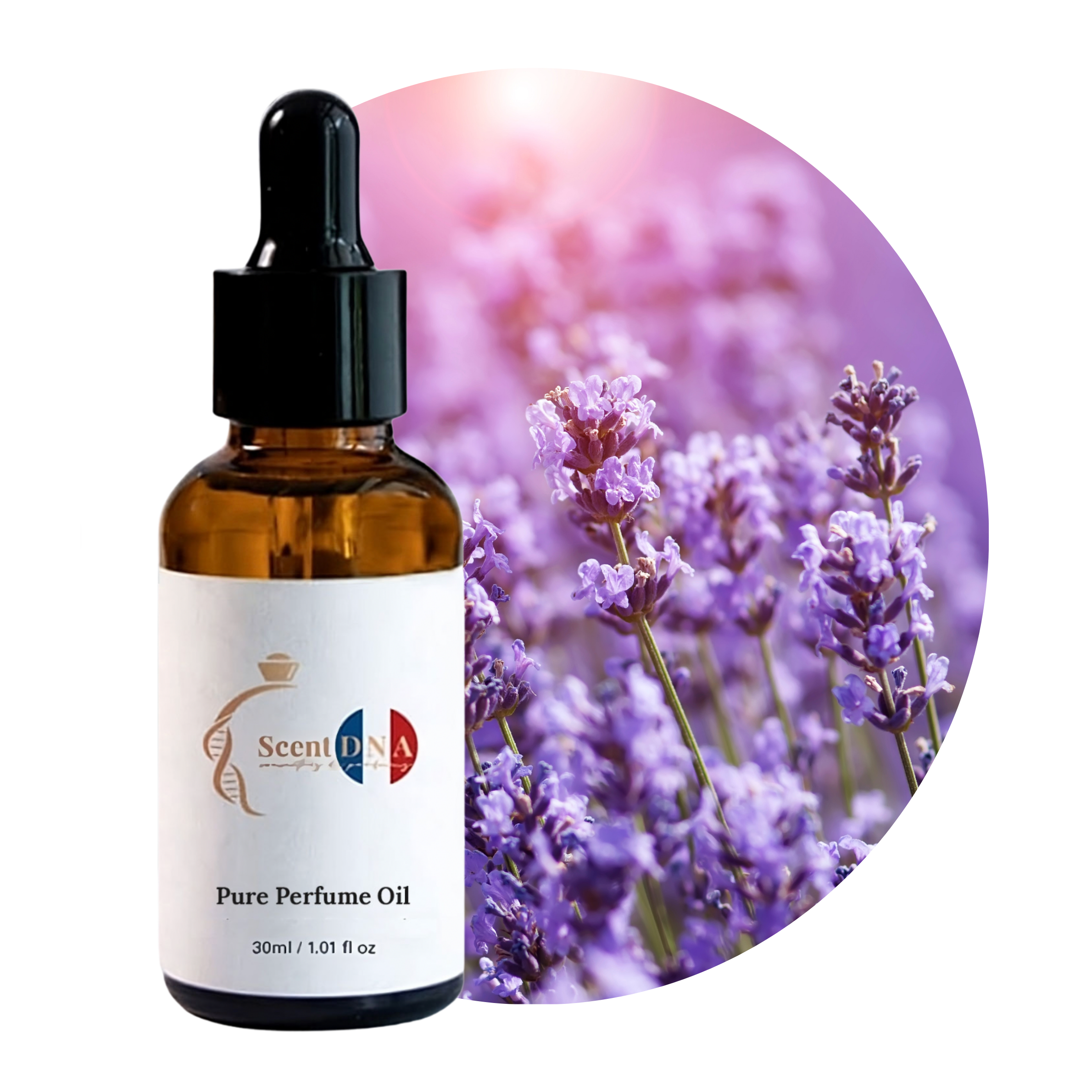 Lavender Perfume Oil – Scent DNA KSA - Main Image