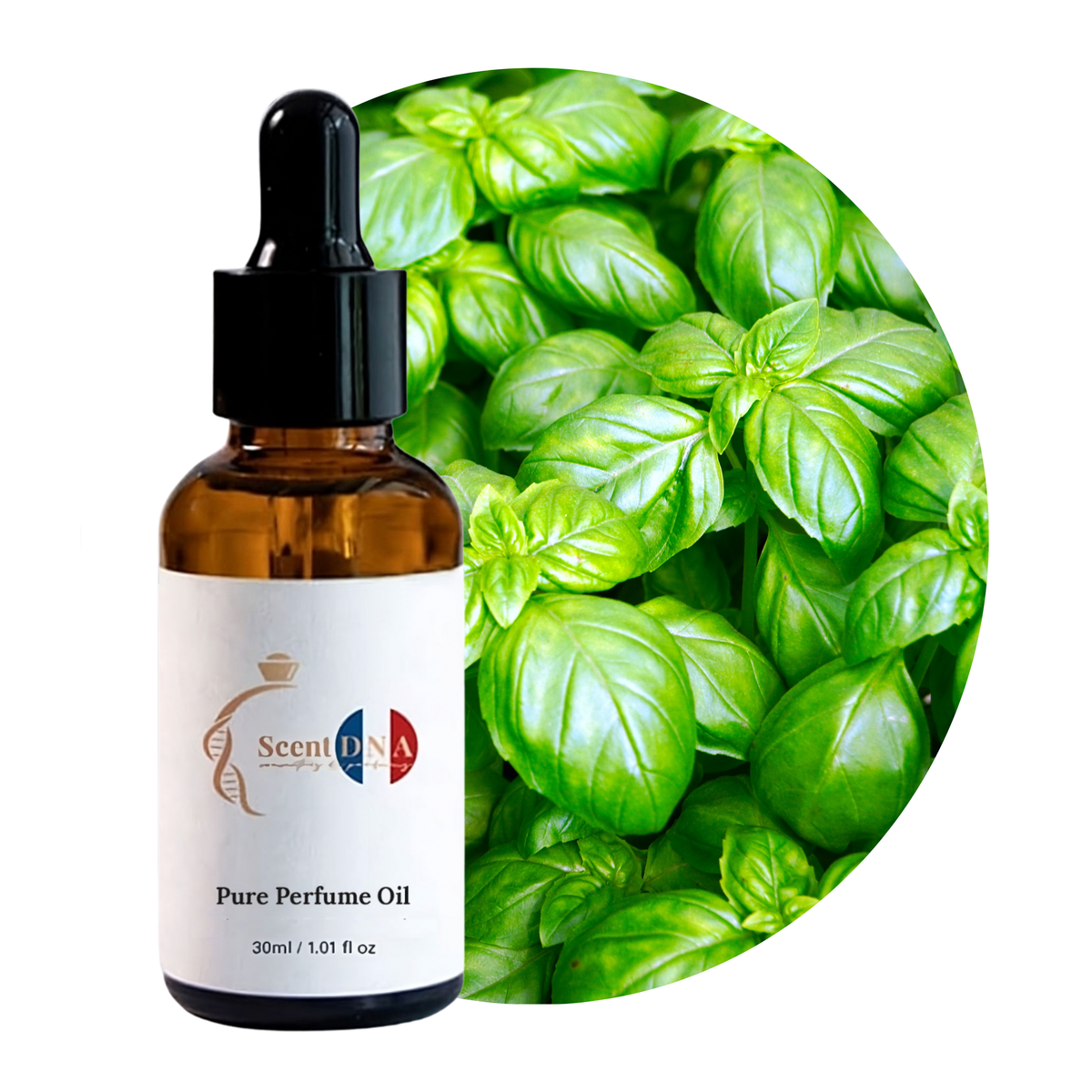 Basil Perfume Oil
