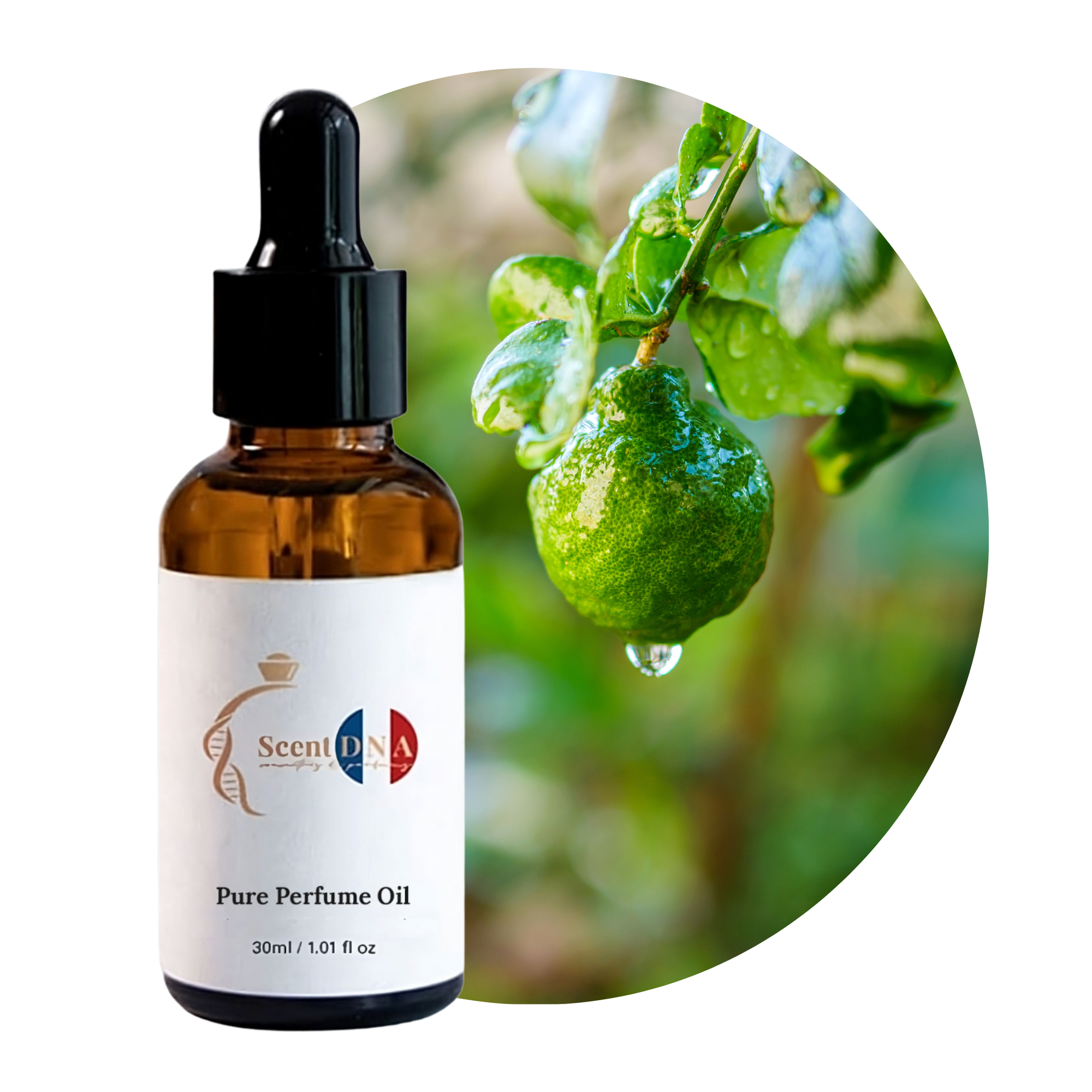 Bergamot Waters Perfume Oil