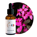 Boronia Perfume Oil