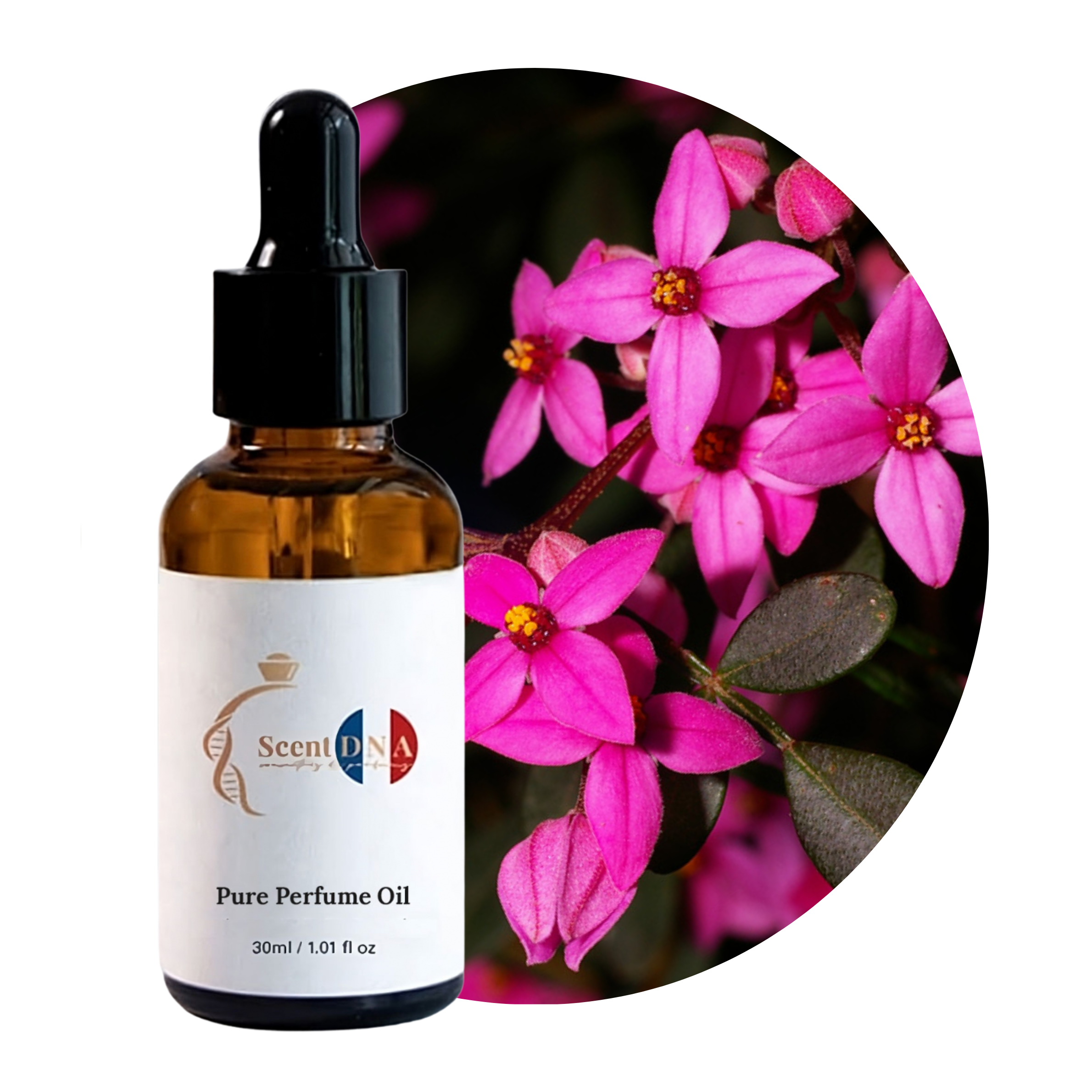 زيت عطر بورونيا