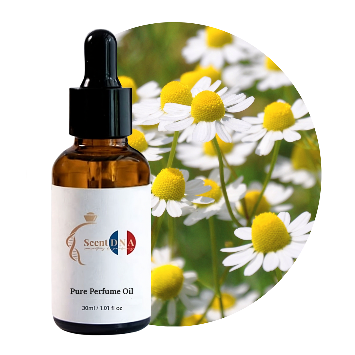 Chamomile Perfume Oil