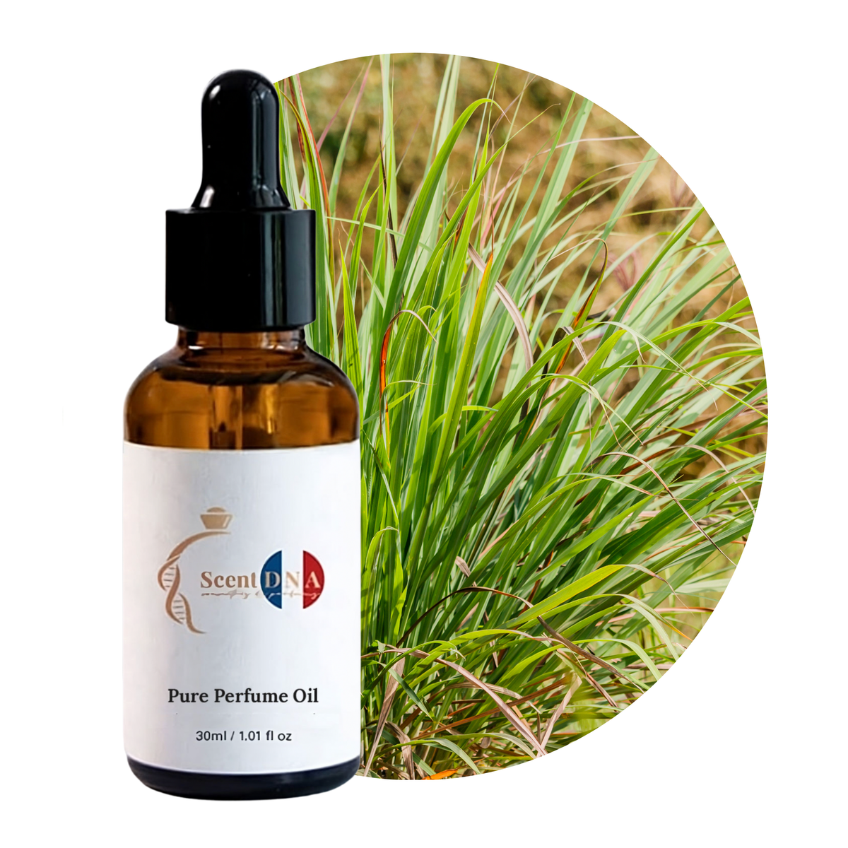 Citronella Perfume Oil