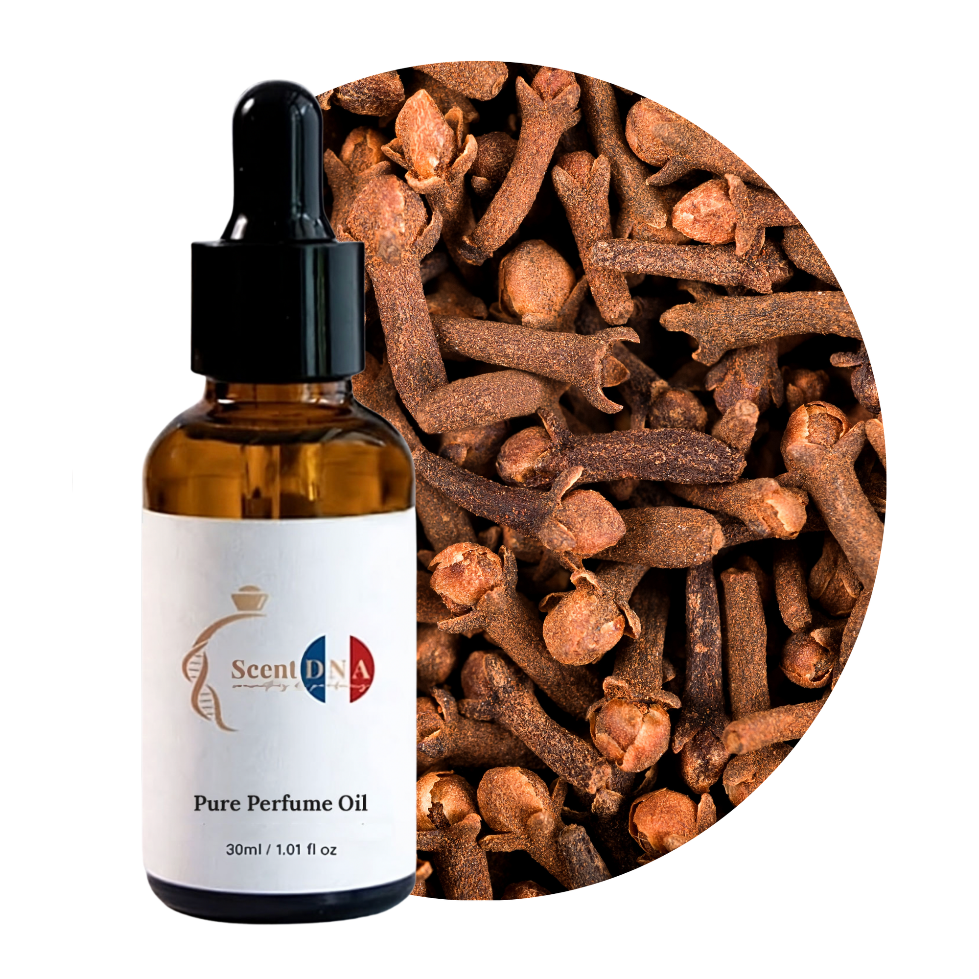 Clove Perfume Oil
