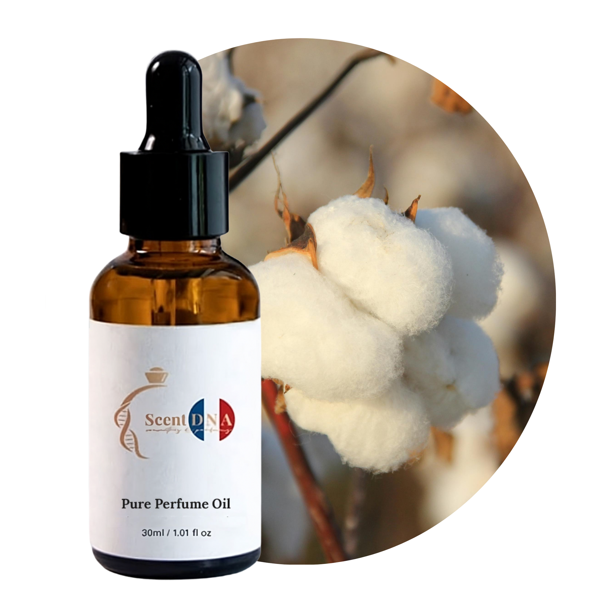 زيت عطري بزهرة القطن