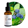 زيت عطر توت العليق البري