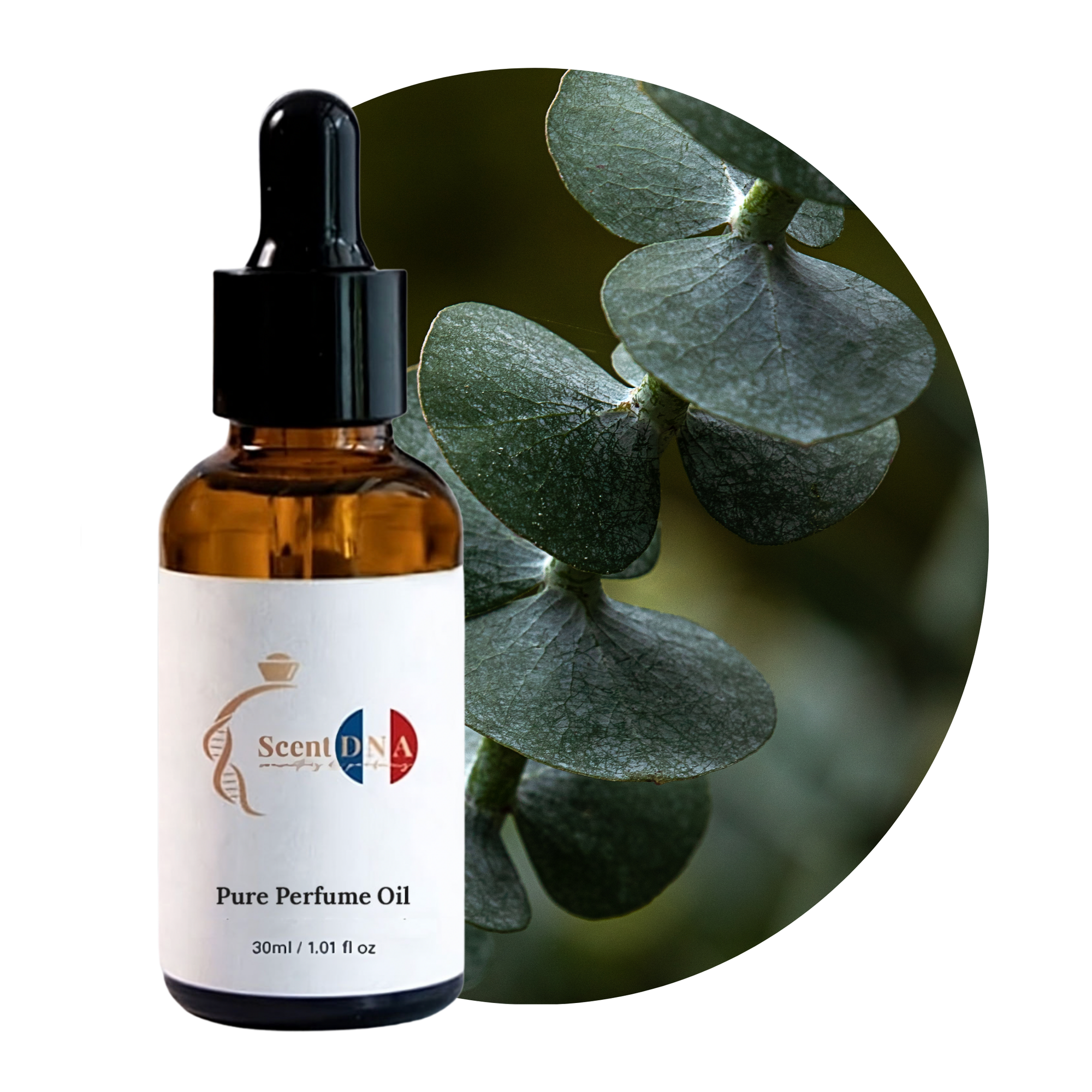زيت عطر الأوكالبتوس