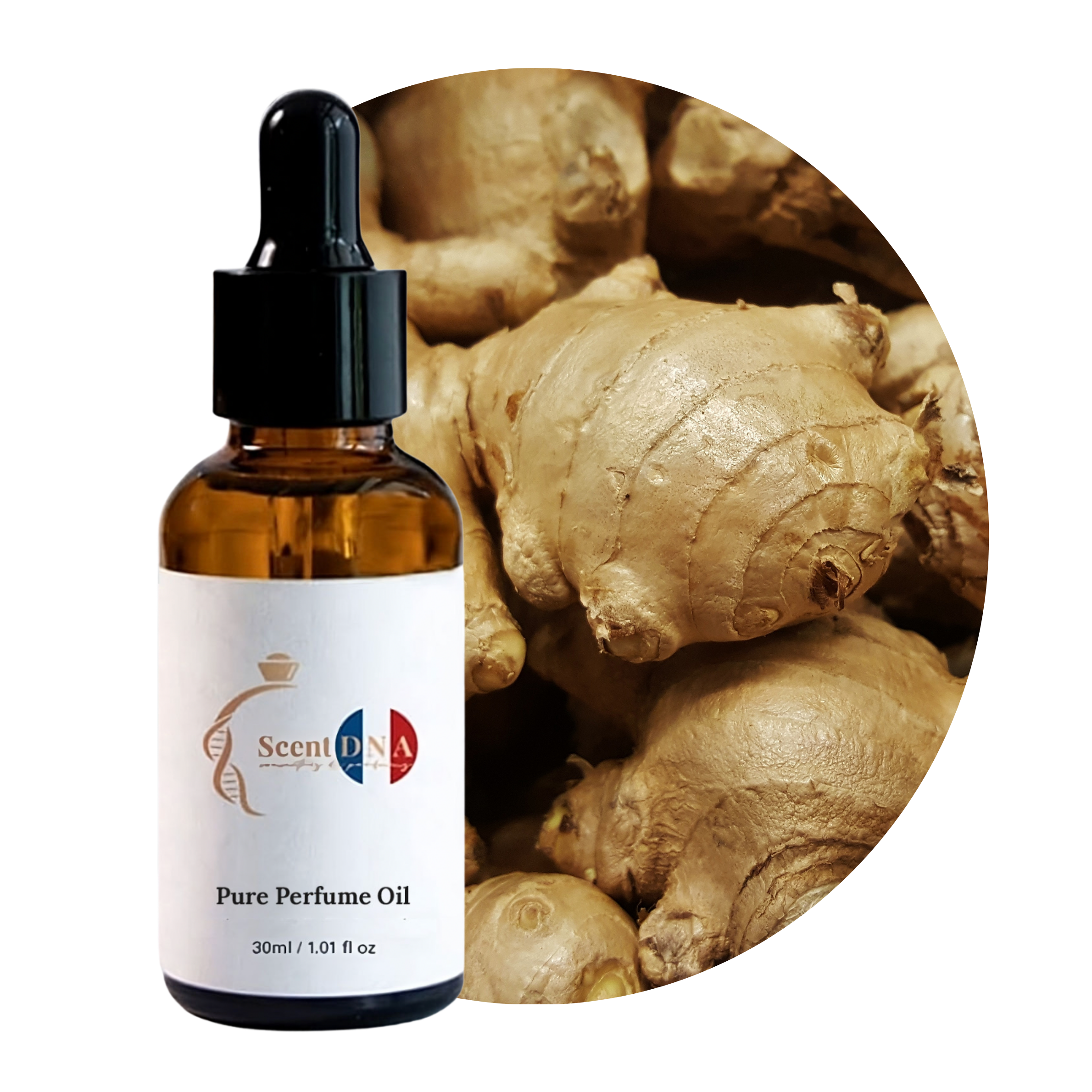 Ginger Perfume Oil