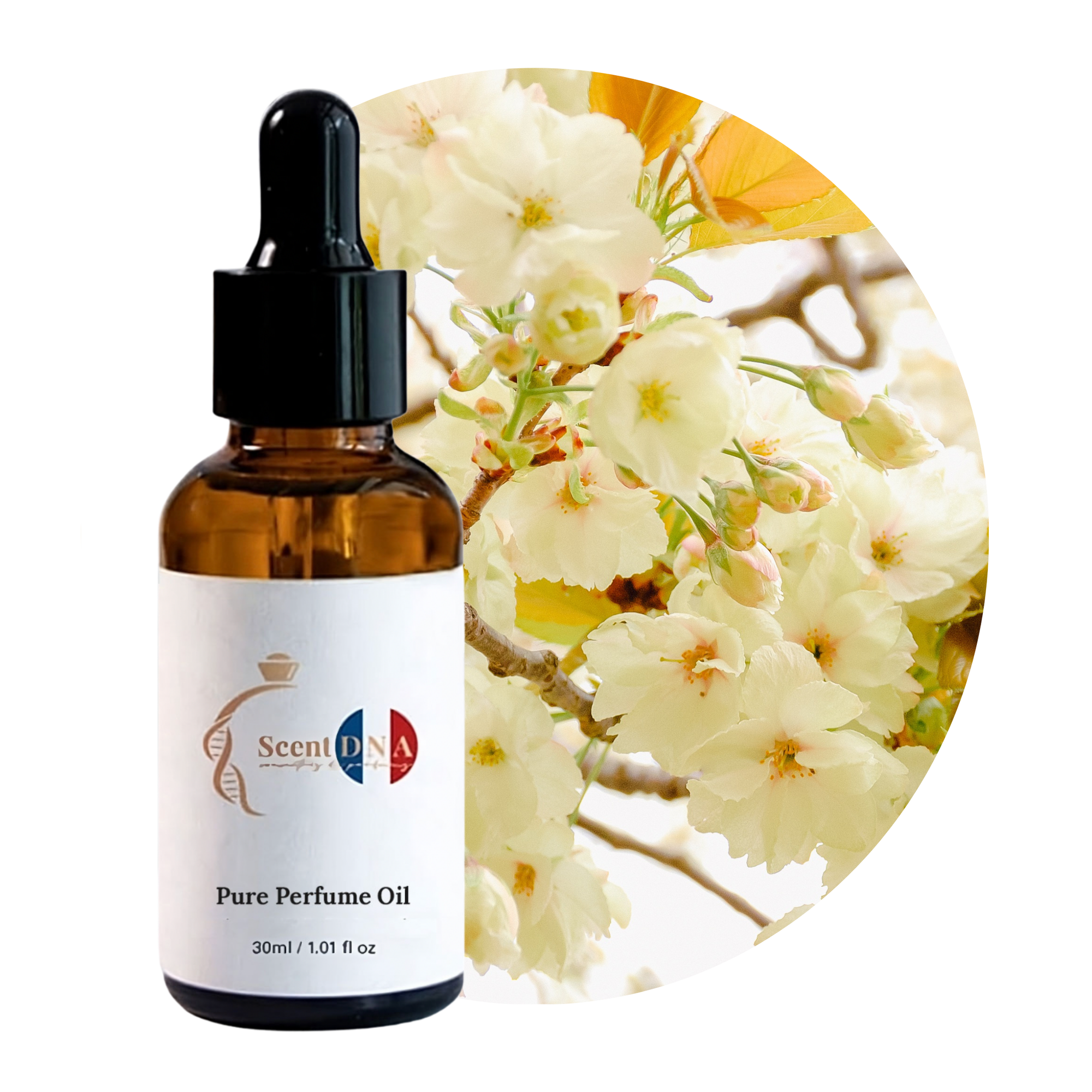 زيت عطر الياسمين