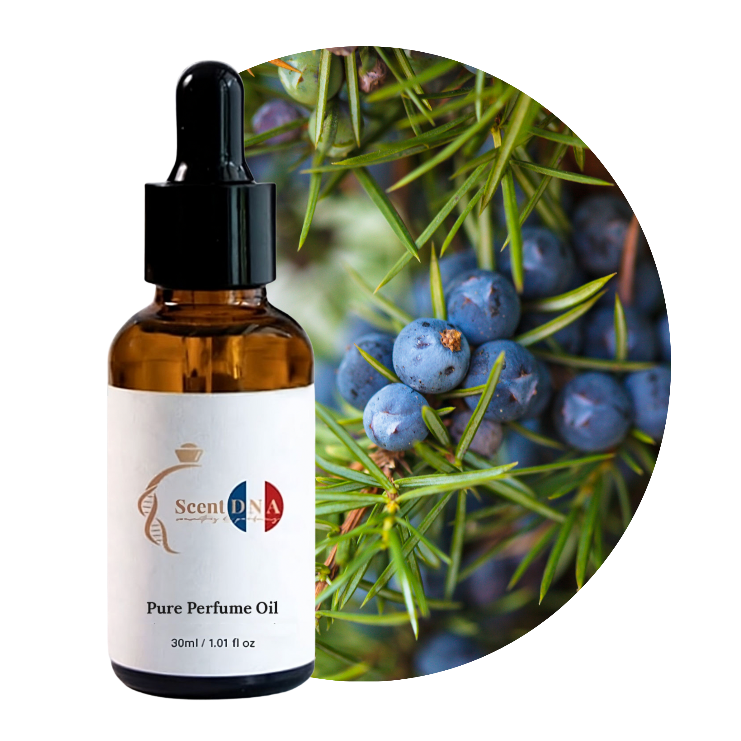 Juniper Berries Perfume Oil