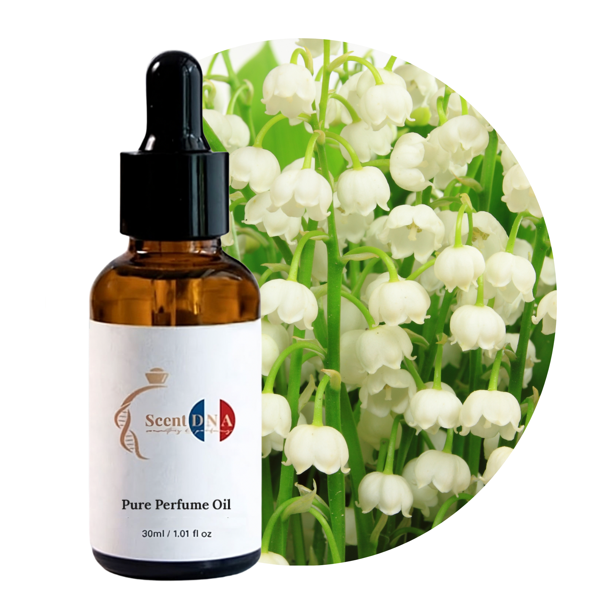زيت عطر زنبق الوادي