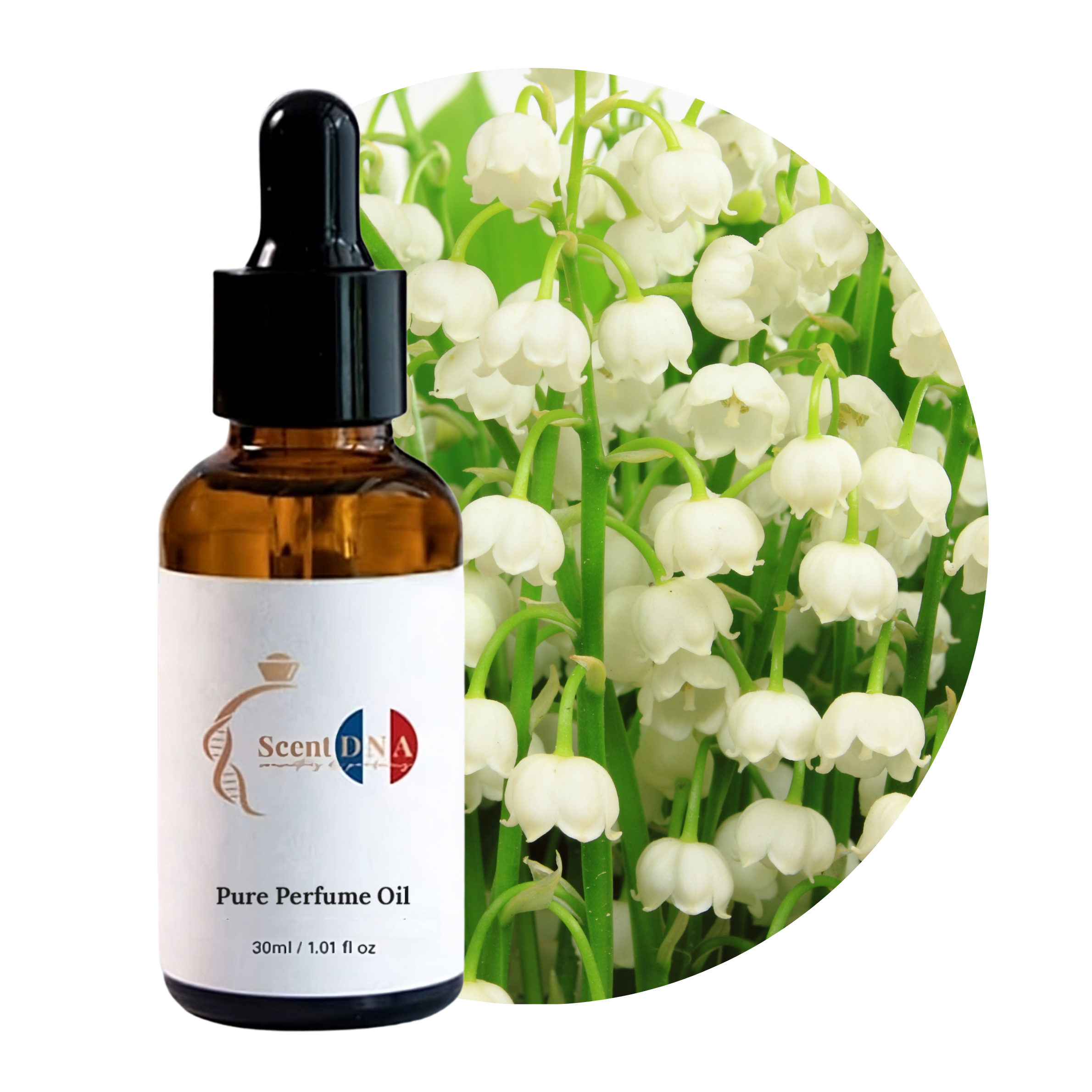 زيت عطر زنبق الوادي