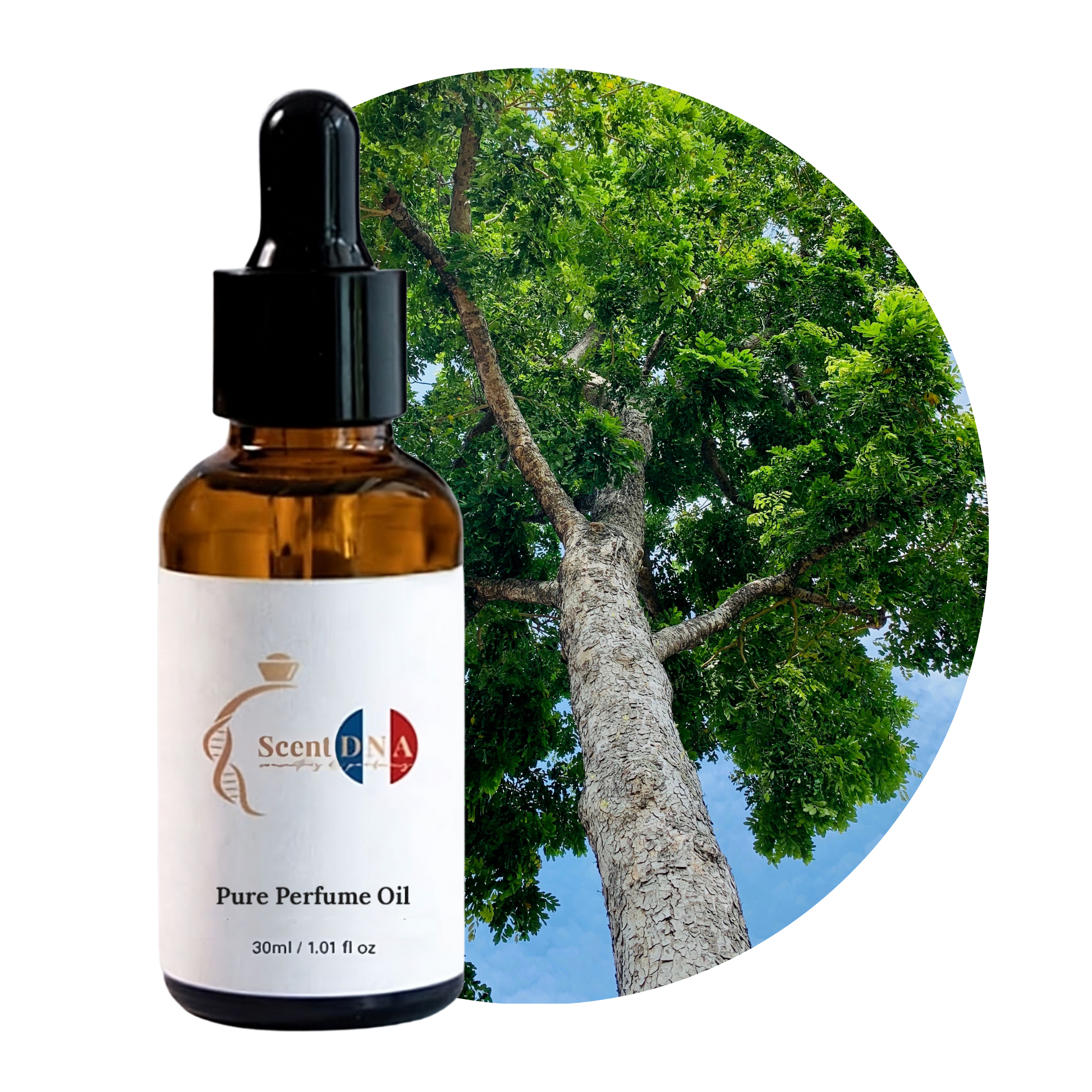 Mahogany Perfume Oil