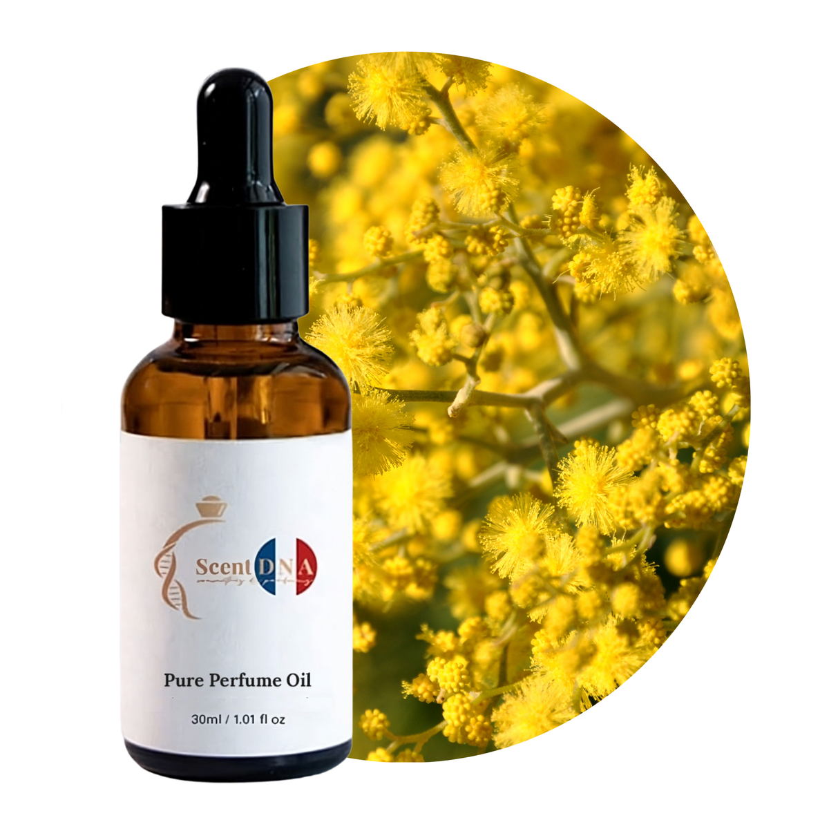 Mimosa Perfume Oil