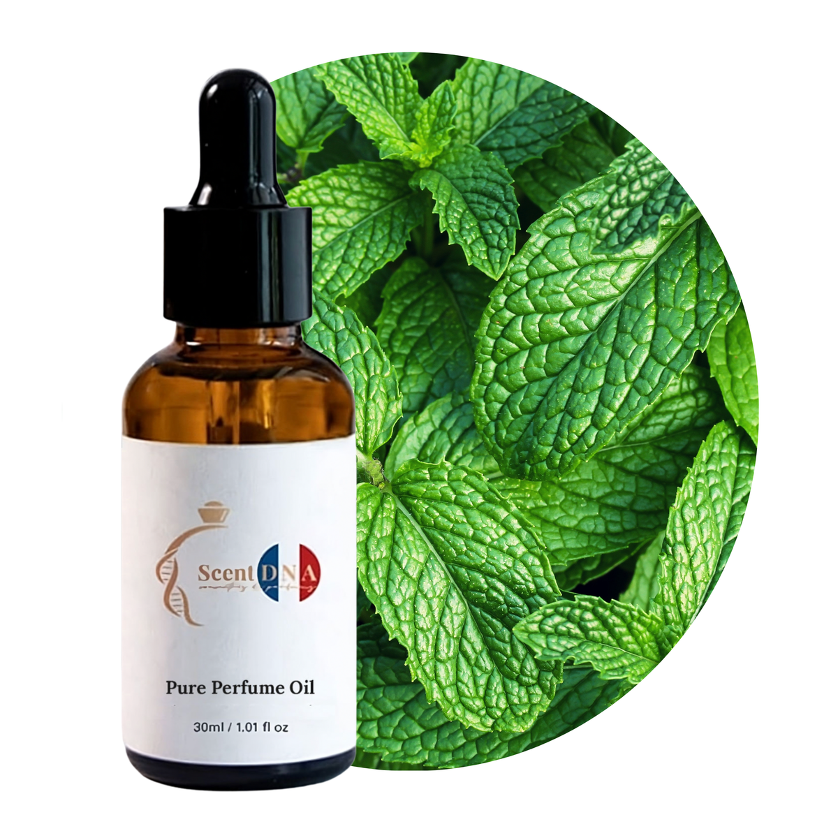 Menthol Perfume Oil