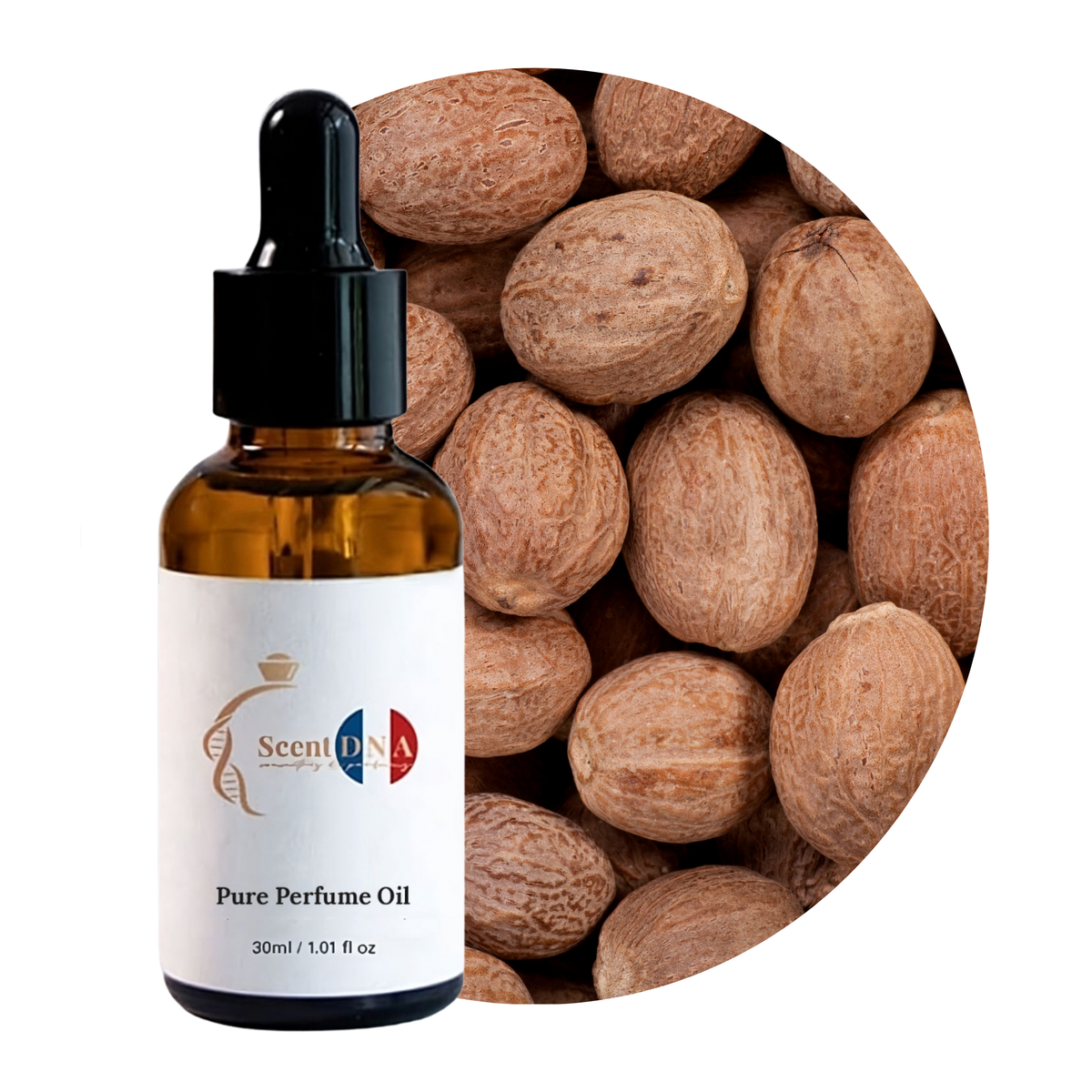 Nutmeg Perfume Oil