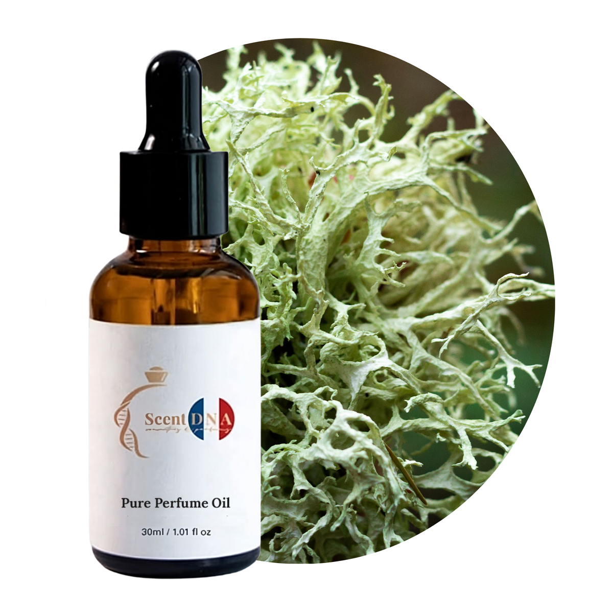 Oak Moss Perfume Oil