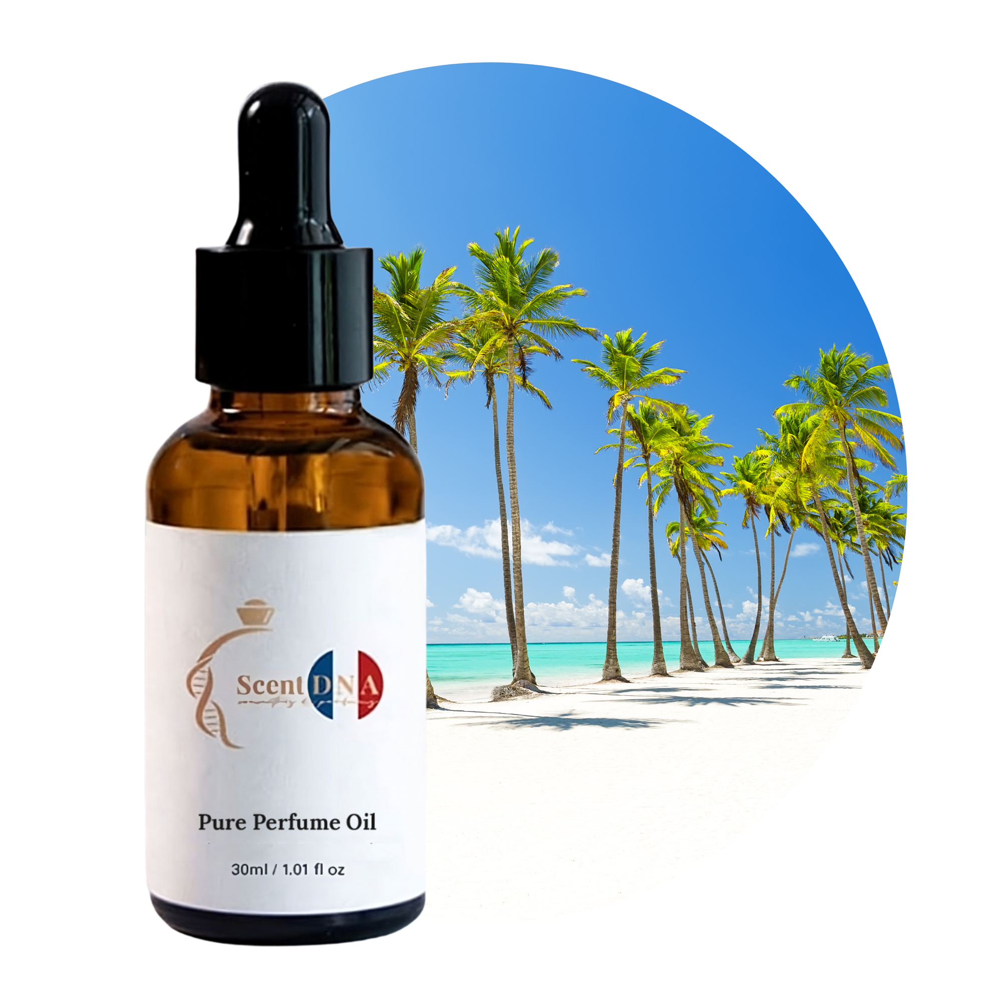 Palm Tree  Perfume Oil