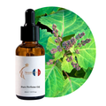 Patchouli Perfume Oil
