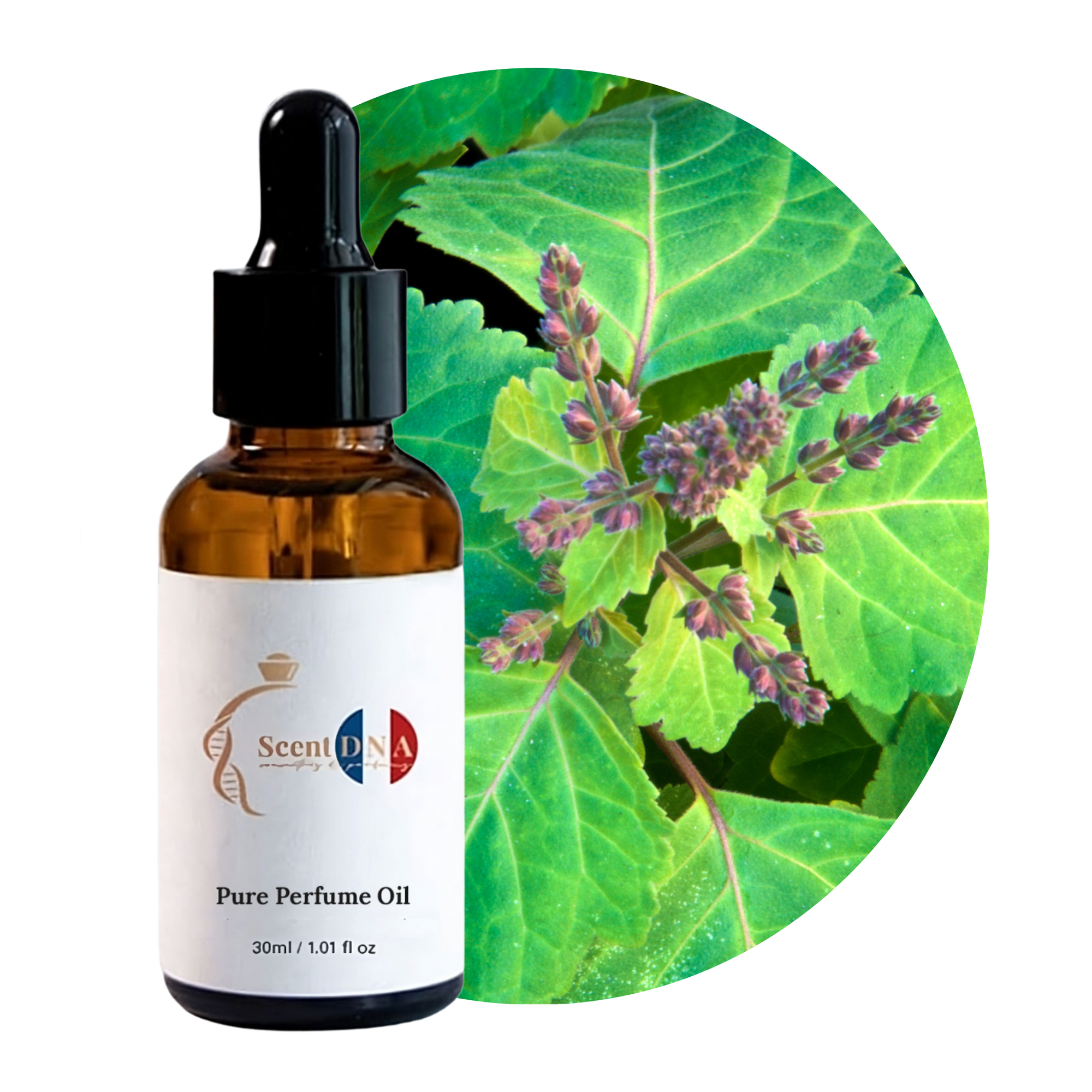 زيت عطر الباتشولي