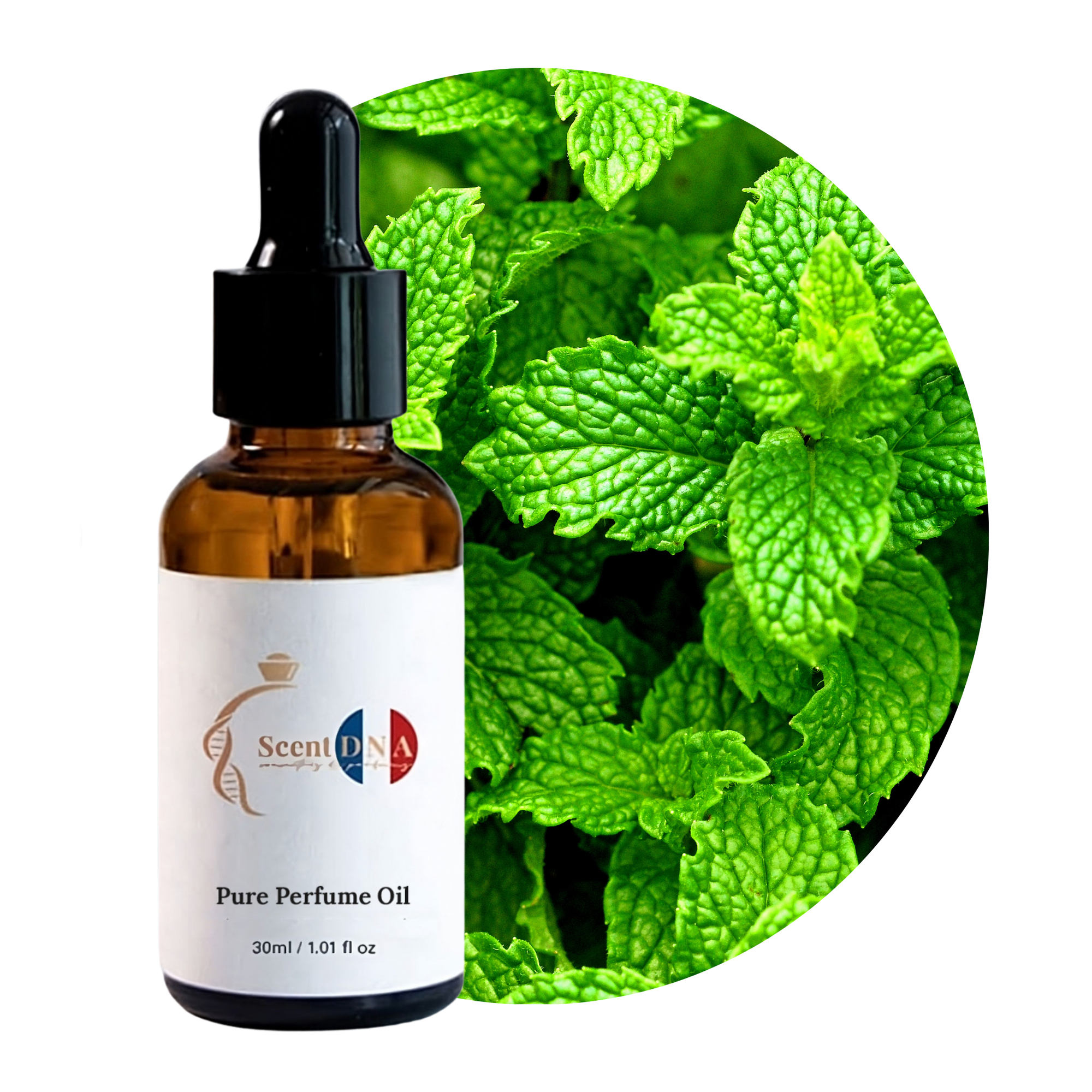 Peppermint Perfume Oil