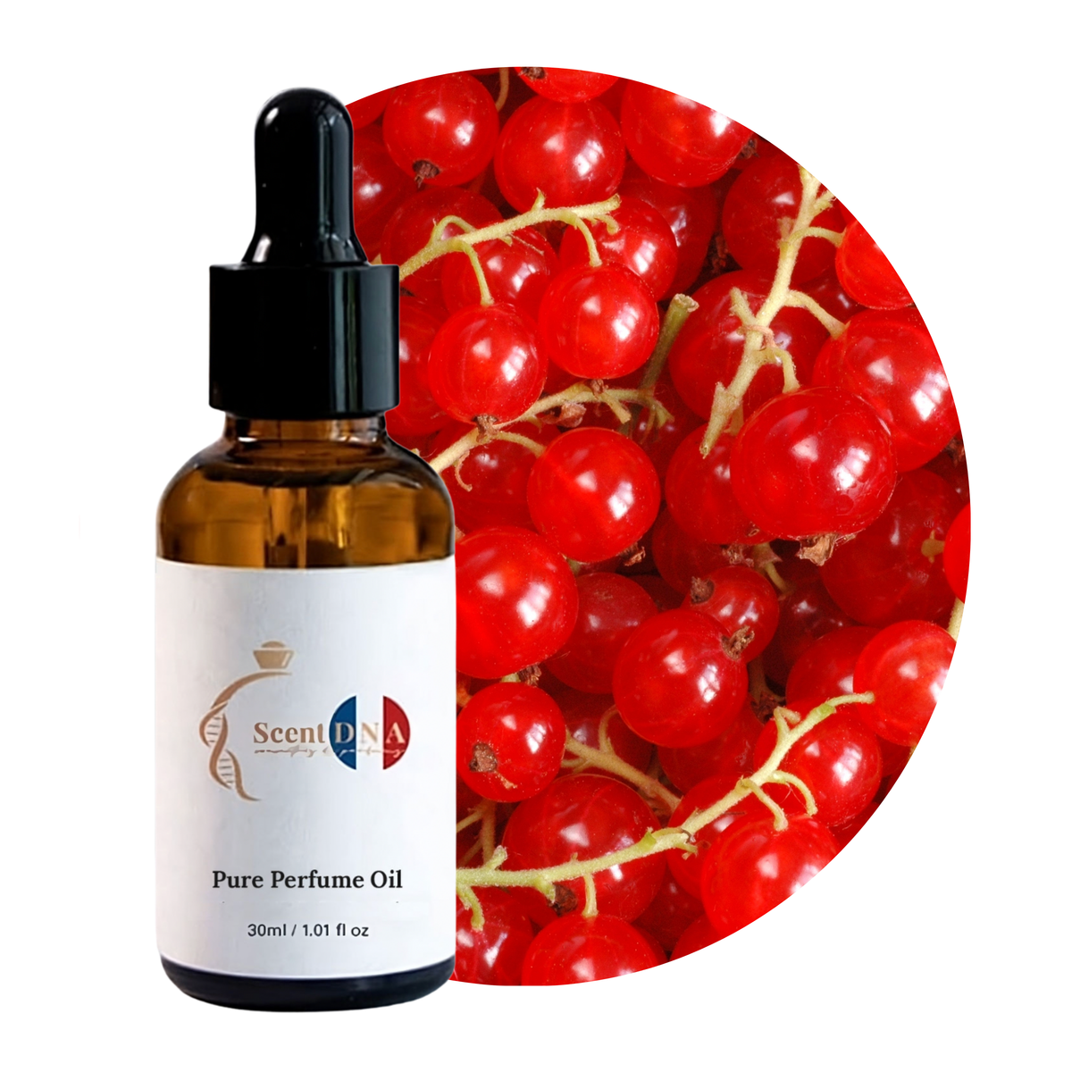 Red Currant Perfume Oil