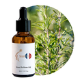 Rosemary Perfume Oil