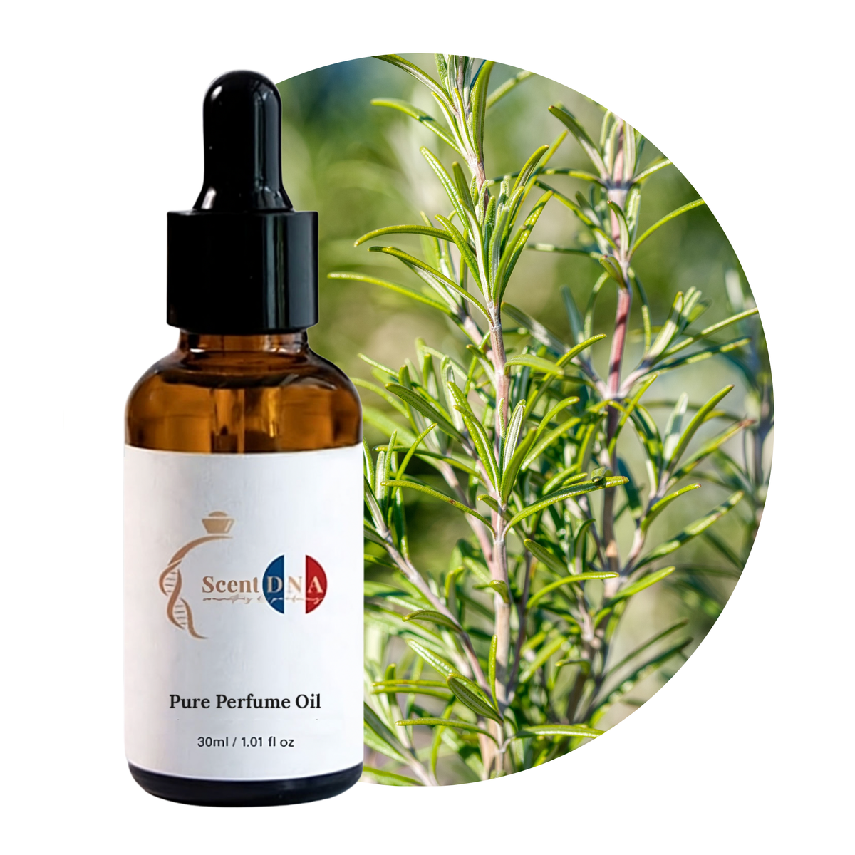 Rosemary Essential Oil