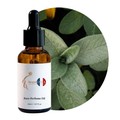 Sage Perfume Oil