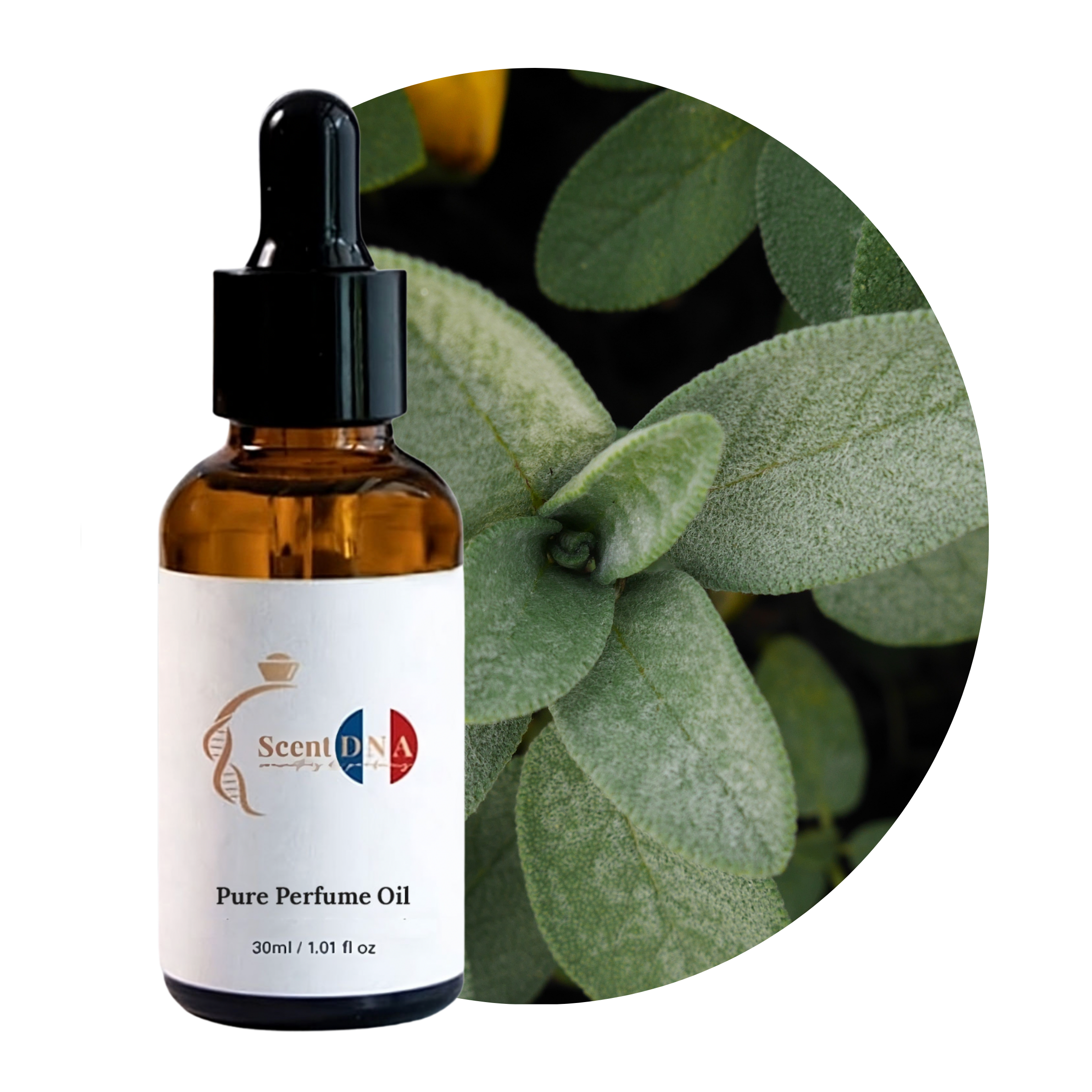 Sage Perfume Oil