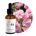 زيت عطر ورد الطائف