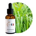 Vetiver Perfume Oil