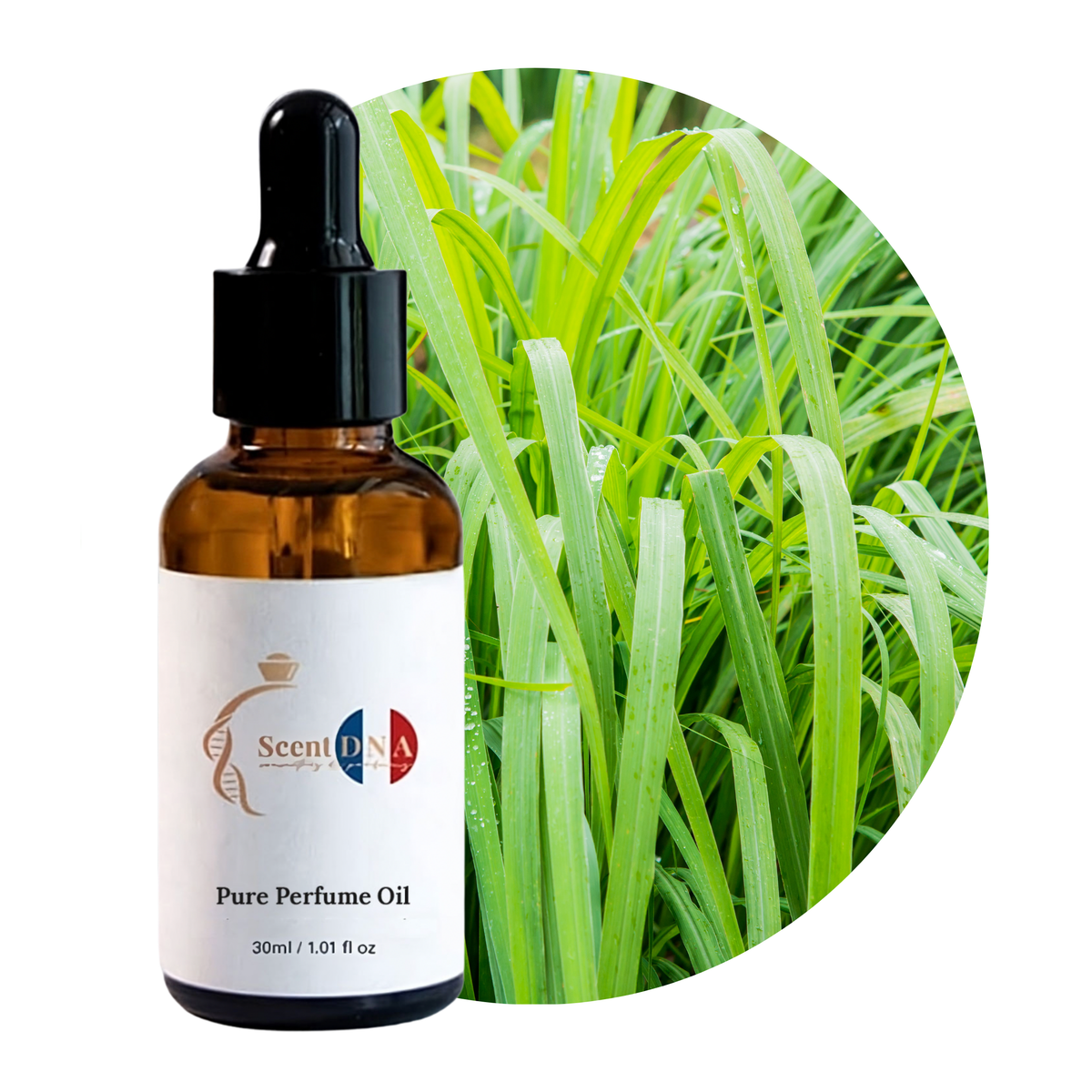 Vetiver Perfume Oil