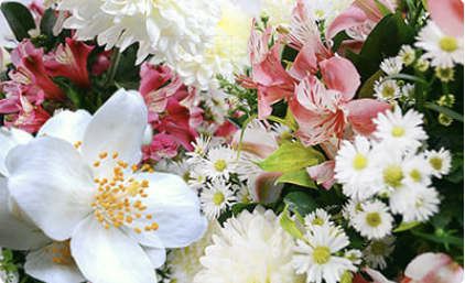 Hedione (Diffusion Booster)